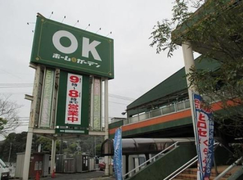  OKホーム＆ガーデン日野店:2900m